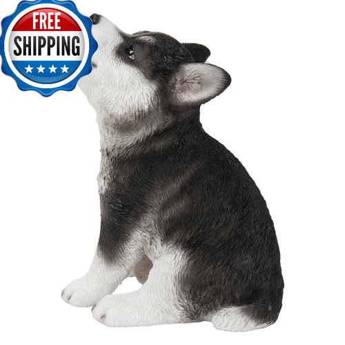 Howling siberian husky - howling,