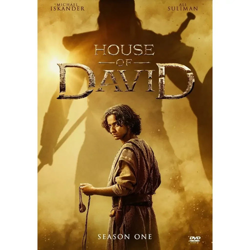 House david series - house,