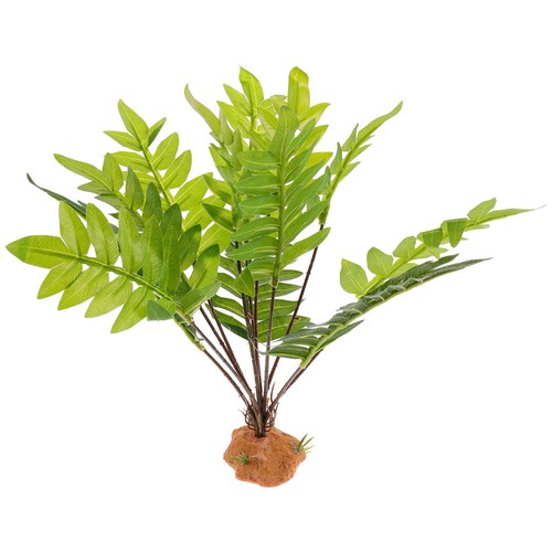 Decorazione terrario rettili - decorazione,