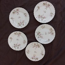 Haviland Limoges Torse 5