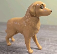 Golden Retriever Dog Very