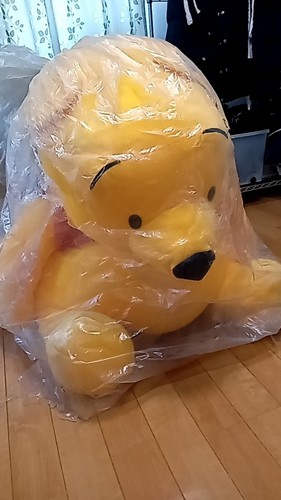 Winnie the pooh disney peluche - the,
