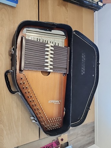 Educator autoharp oscar - autoharp, di