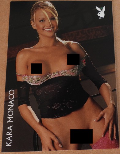2005 playboy lingerie 100th - lingerie,