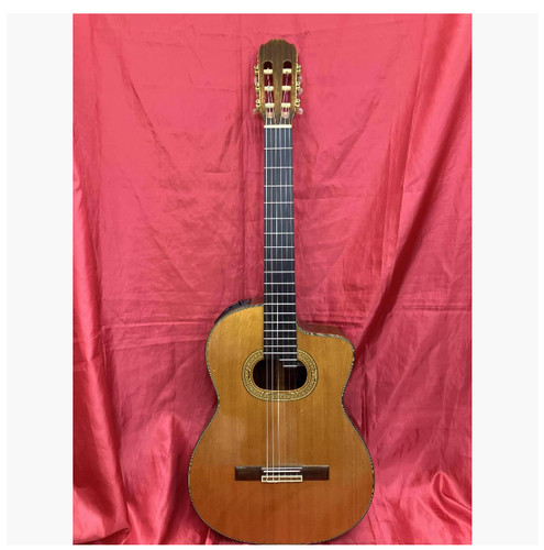 Chitarra acustica classica