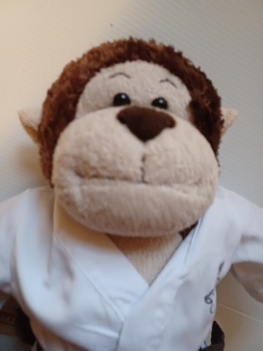 Peluche build bear - a, monkey