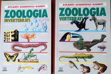 2  ATLANTI SCIENTIFICI GIUNTI