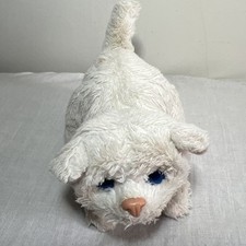 Pelliccia Real Friends Gattino