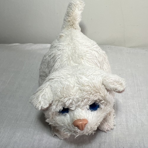 Pelliccia real friends gattino - friends,