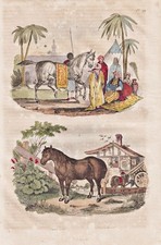 Cavallo Incisione In Acciaio