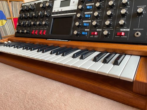 Moog minimoog voyager - minimoog, in