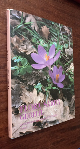 B689 mauro ballero flora - mauro,