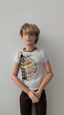 Barbie Ken Fashionistas 2012