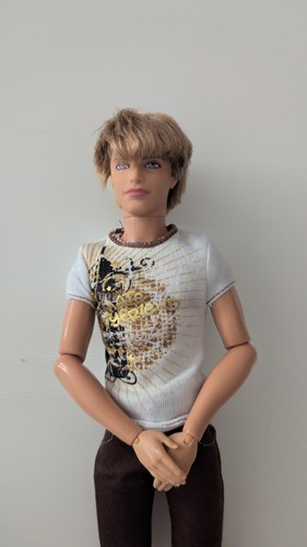 Barbie ken fashionistas - barbie,