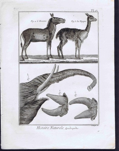 1792 copper print - 1792,