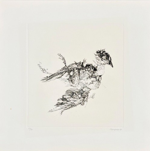 Renzo vespignani - renzo,