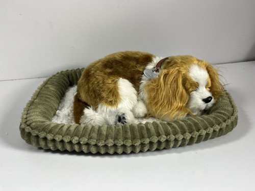 Cane giocattolo petzzz - cane,