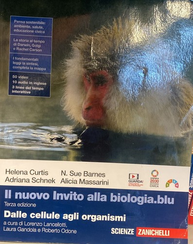 Nuovo invito alla - invito,