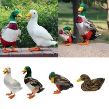 Varie Realistiche Decorazioni