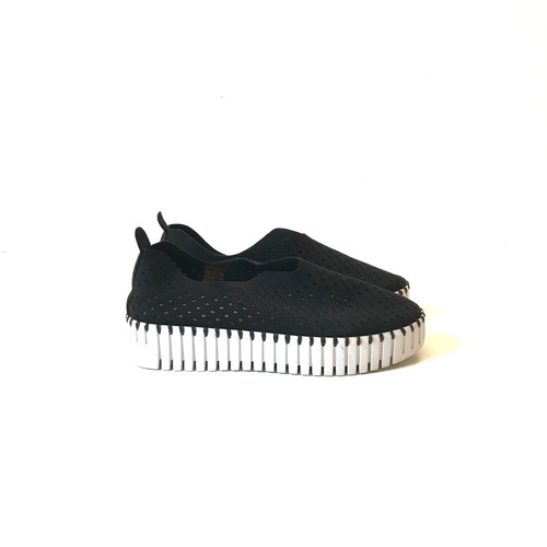 Isle jacobsen tulip sneakers - jacobsen,