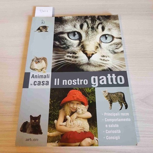 Nostro gatto animali in - gatto,