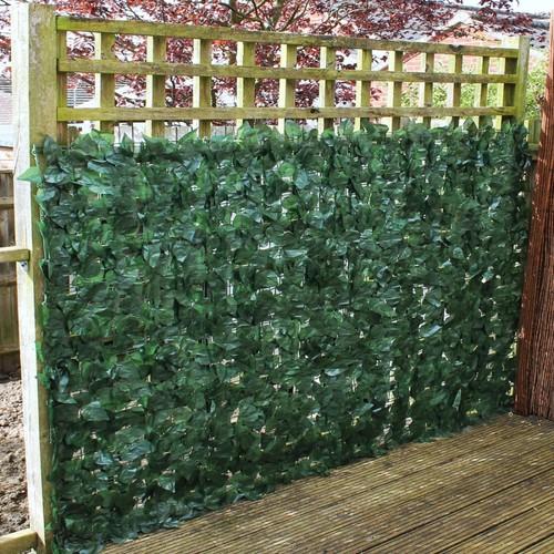 Siepe oscurante 1x3m - siepe,