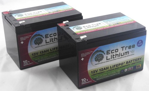 Paio batterie eco tree litio - 1,