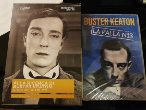 Alla ricerca buster keaton - buster,