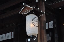 [Testato!/NM+5] Nikon Nikkor