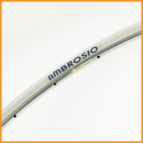 Nos ambrosio futura cerchio - cerchio, 18