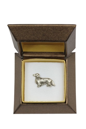 Dachshund rauhhaar bassotto - dachshund, rauhhaar,