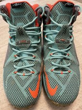 Nike LeBron James Green