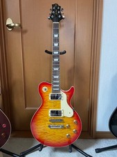 Chitarra elettrica Samick Greg