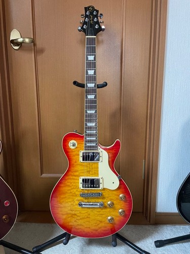Chitarra elettrica samick greg - elettrica,