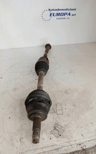 51809992 semialbero ant - 51809992,