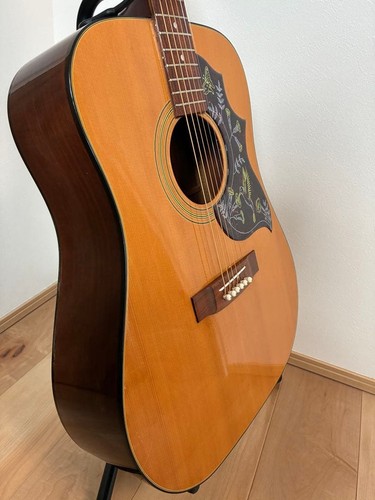 Battipenna colibrì chitarra