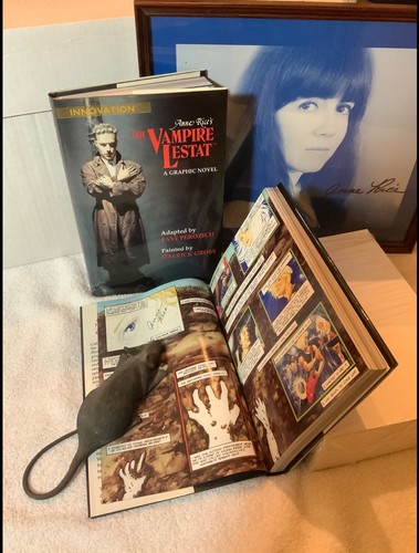 Graphic novel the - graphic, "the