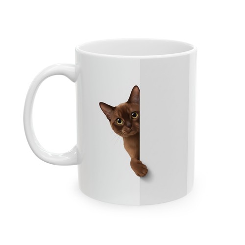 Gatto birmano che - , sbircia
