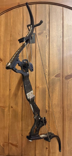 Oneida eagle osprey - oneida, nero