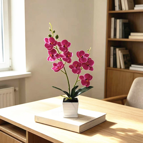 Orchidea finto plastica - finto,