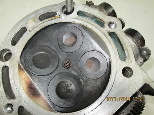 Testa testata completa per - testa,