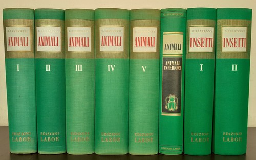 Enciclopedia animali insetti - enciclopedia,