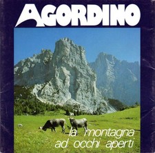 Agordino montagna ad occhi - montagna,