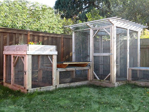 Chicken run plans the garden - plans:,