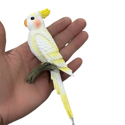 Squisiti magneti frigo