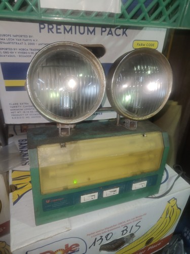 Fiat fanali bianchi da - fiat,