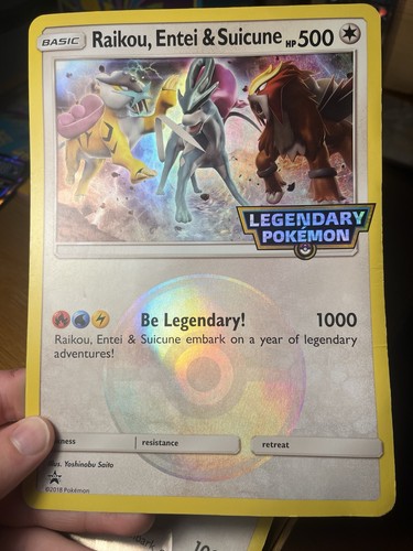 The pokémon company raikou - company,