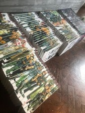 JUDGE DREDD THE MEGA