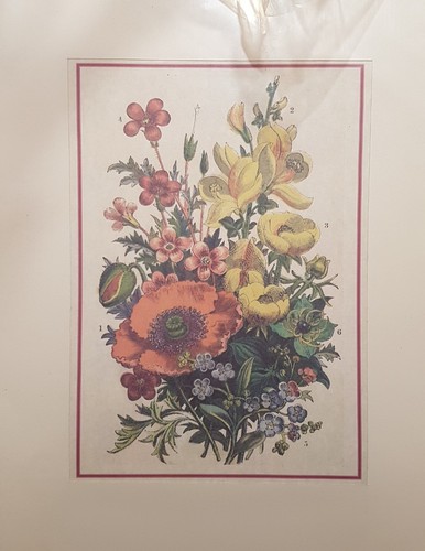 Stampa arte giclee - stampa, fiori