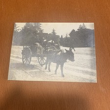 VERONA Carretto animazione  cm 11x8 foto Sali Argento 1900-10 GARDA TRENTO